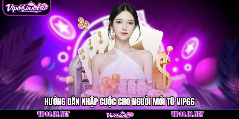 Hướng dẫn nhập cuộc cho người mới từ vip66